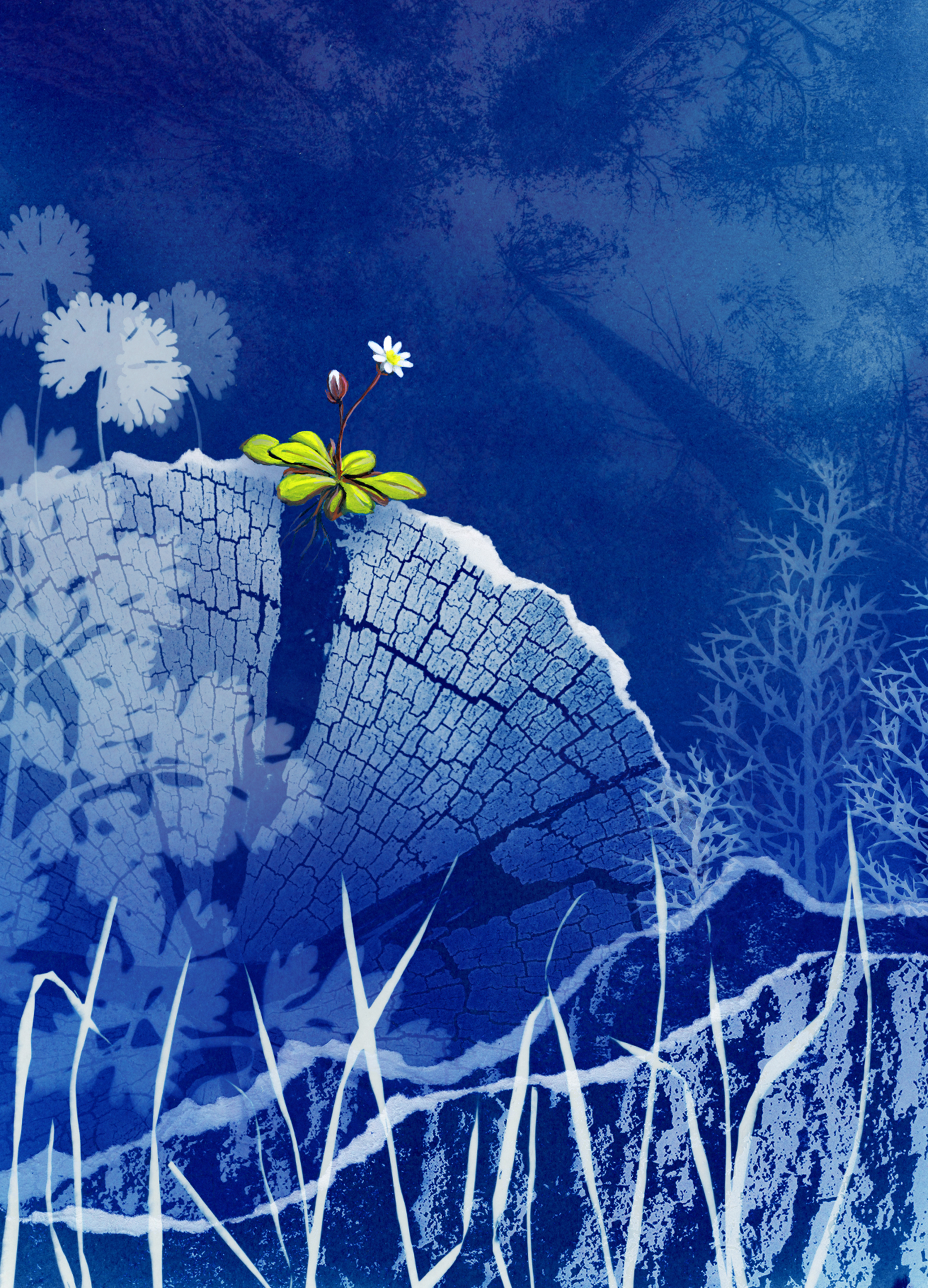 nieuwjaarskaart skvr 2026