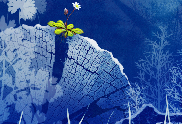 we wensen je een creatief 2026!